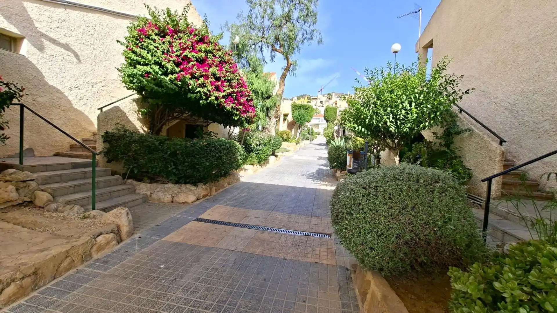 Exterior view of Study for sale in Benidorm  with Private garden, Terrace and Furnished
