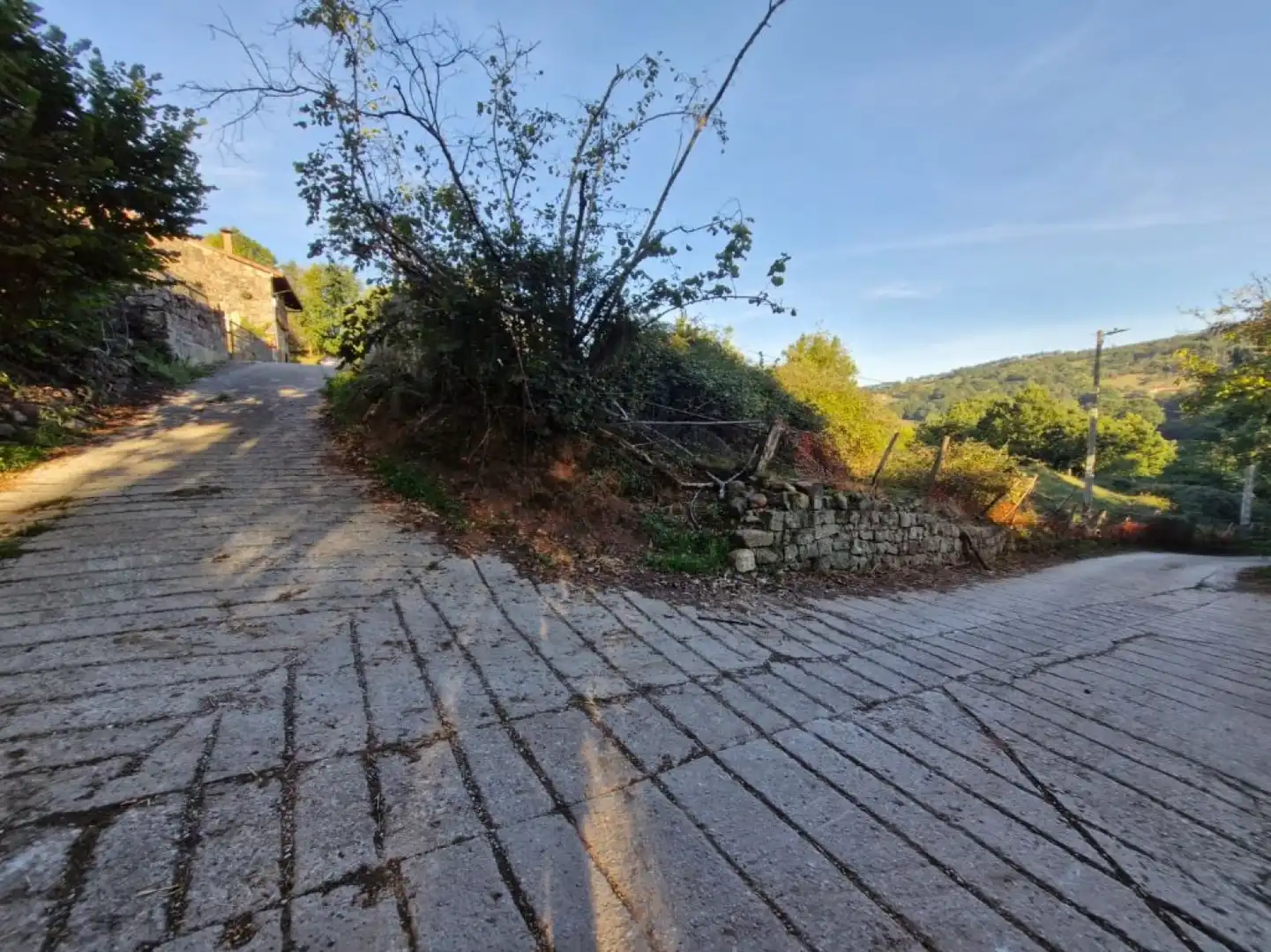 Casa aparellada amb jardí en venda a Coo - Bº Coo Canal 186, imagen 4