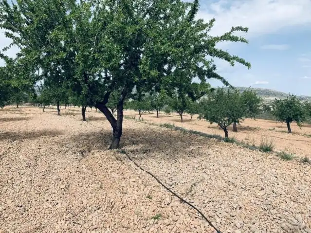 Terreny residencial en venda a La Romana, imagen 12