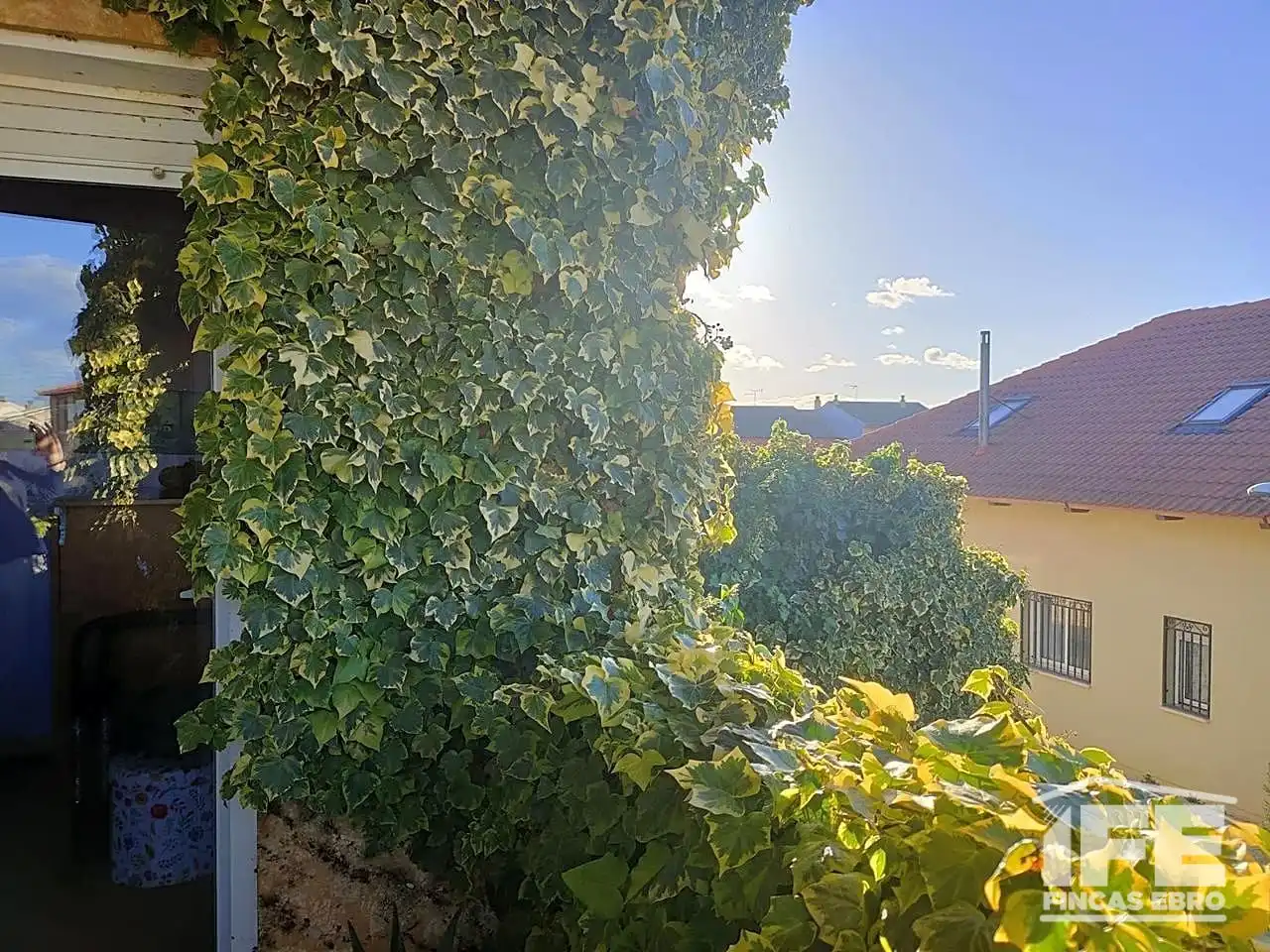 Casa o xalet en venda a Cecilio De Miguel, Grisén