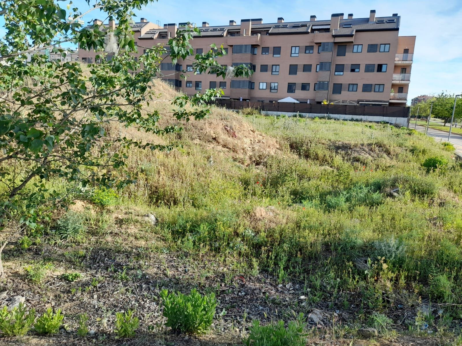 Residencial en venda a Avenida de Aranzana, 4, Aranzana