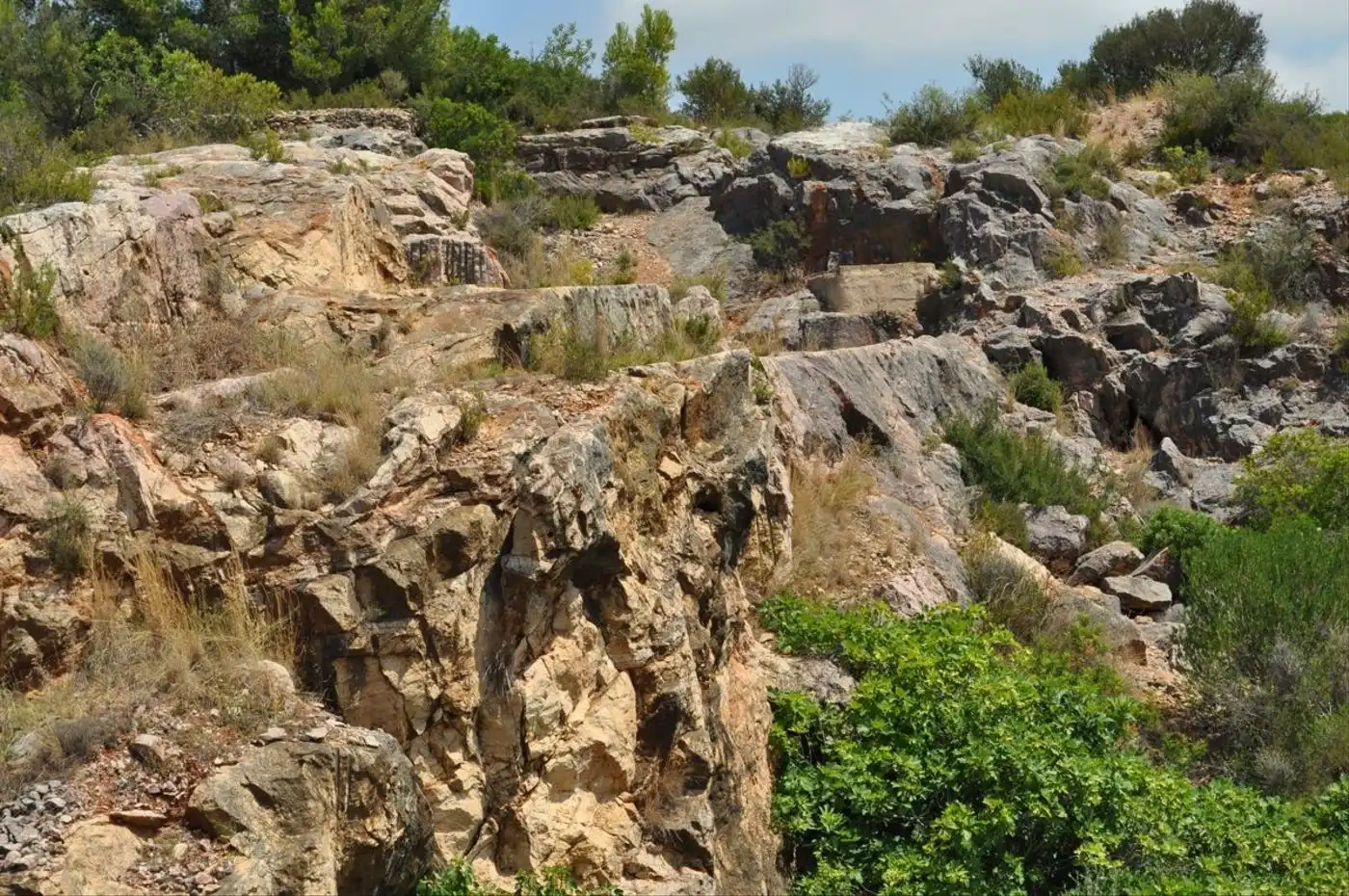 Land for sale in Camí del Barranc de la Llet, 26, Sant Llàtzer