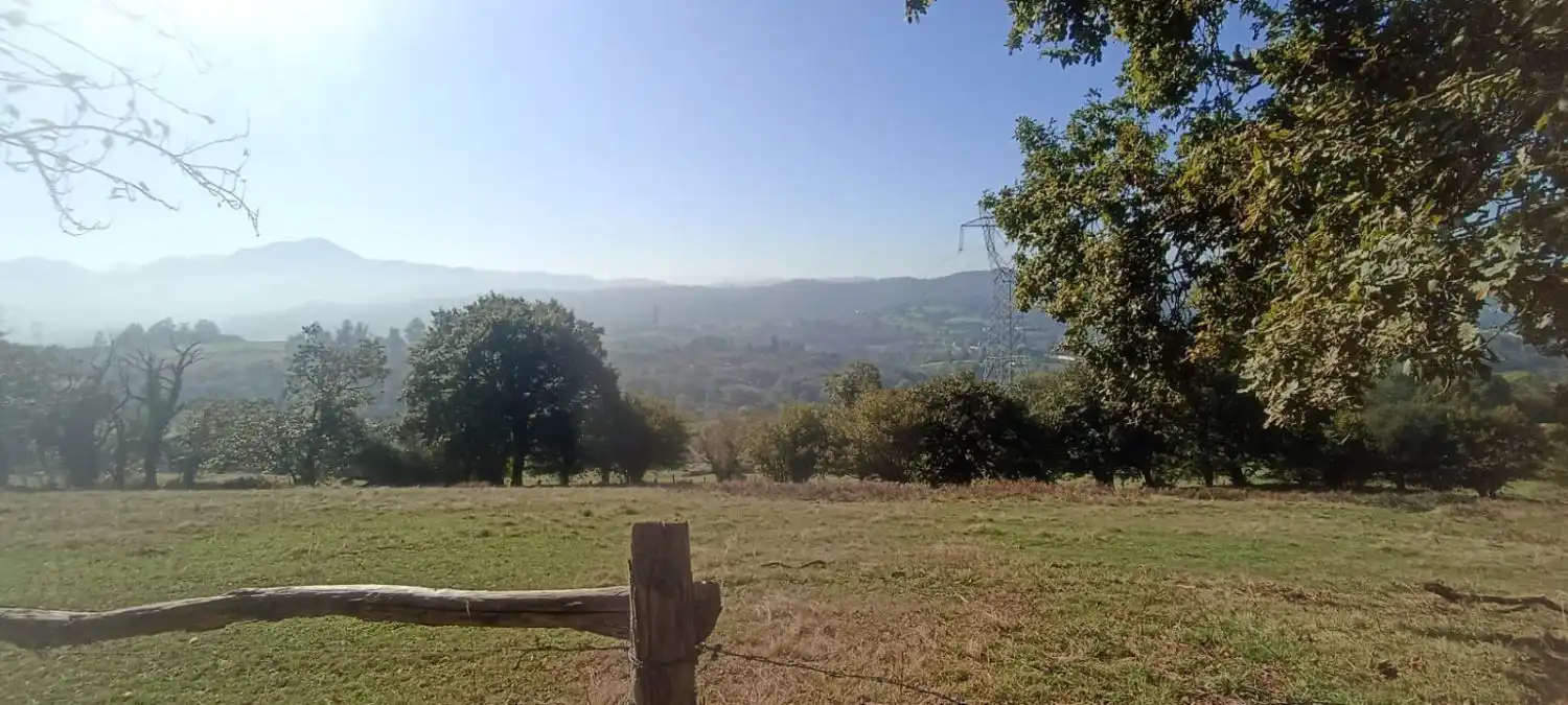 Finca rústica en venta en Nava