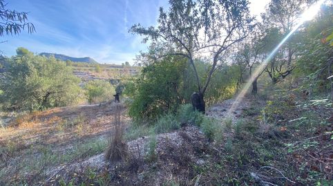 Un Paraíso Agrícola con Vistas de Ensueño Tu Oportunidad entre Olivos Centenarios, immagine 3