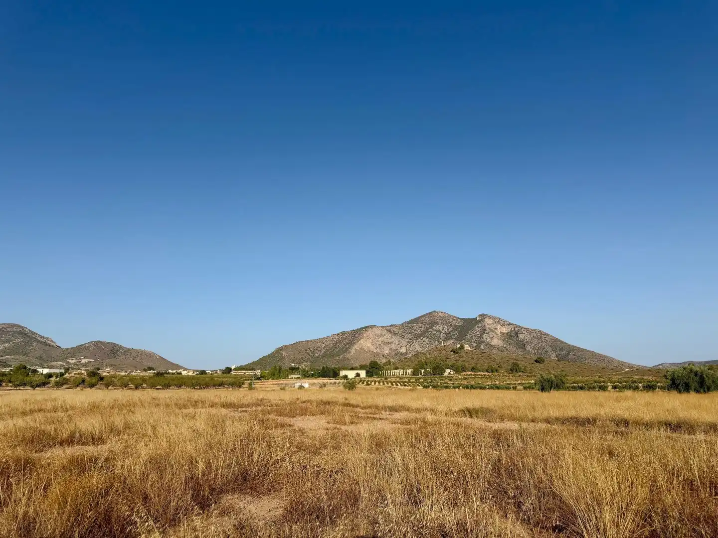 Rural land for sale in Algueña, imagen 3
