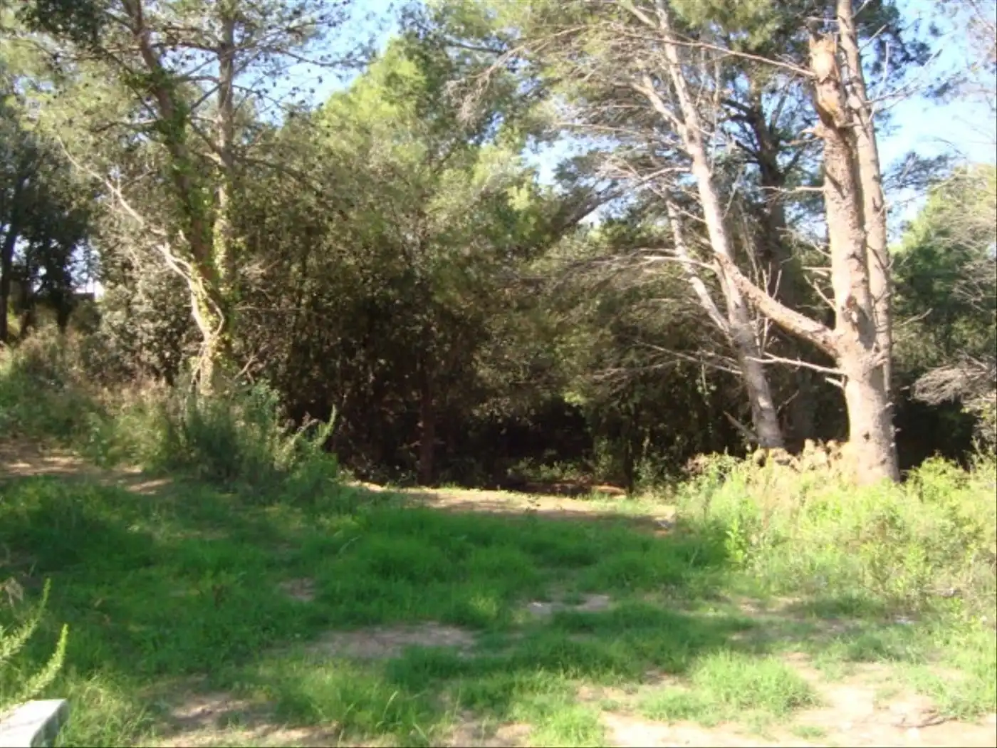 Terreny residencial en venda a Sa Riera - Sa Fontansa, imagen 2