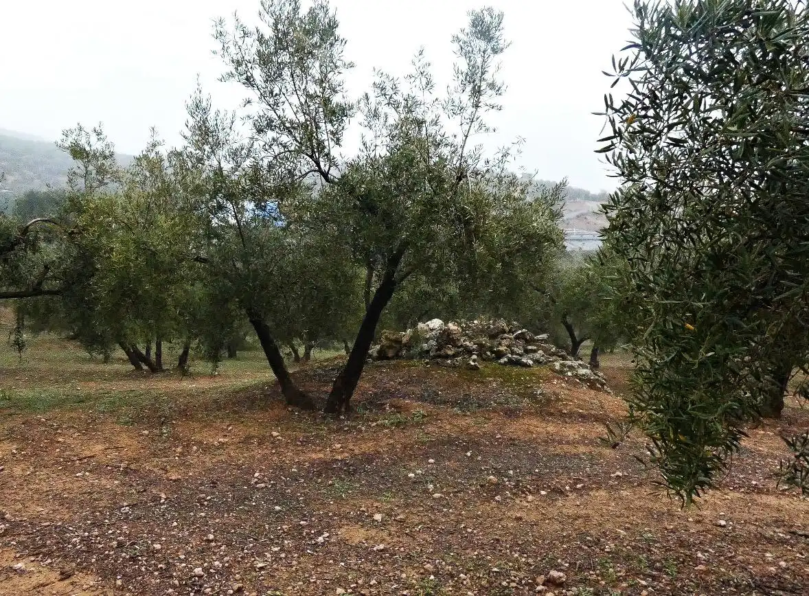 Terrain rustique à vendre à Peligros, imagen 22