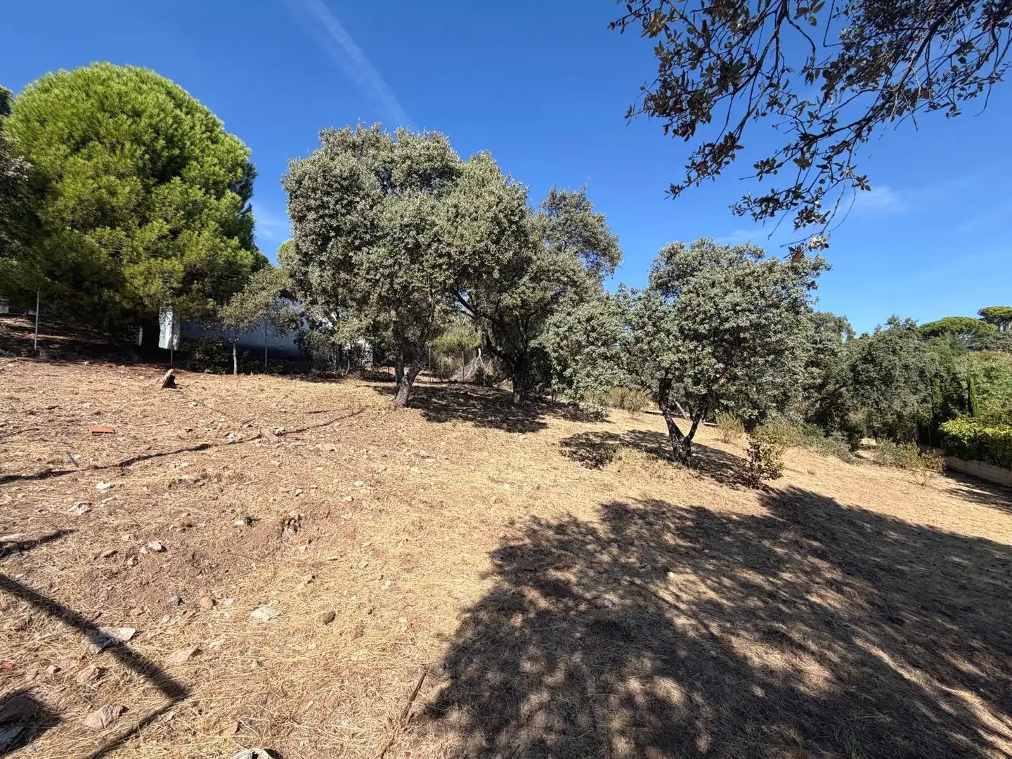 Residential land for sale in Villa del Prado, imagen 2