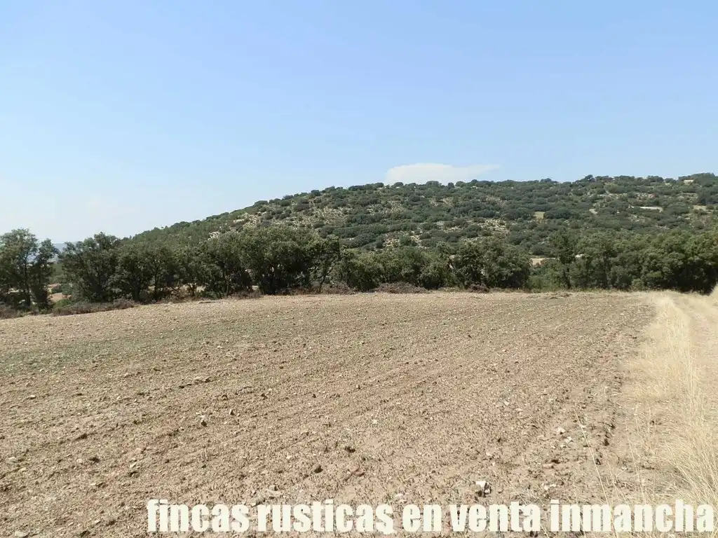 Rustikales Grundstück zum Verkauf in Alcocer, imagen 5