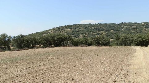 finca en venta 118 has. recreo a 130 km. de Madrid en Guadalajara, immagine 5