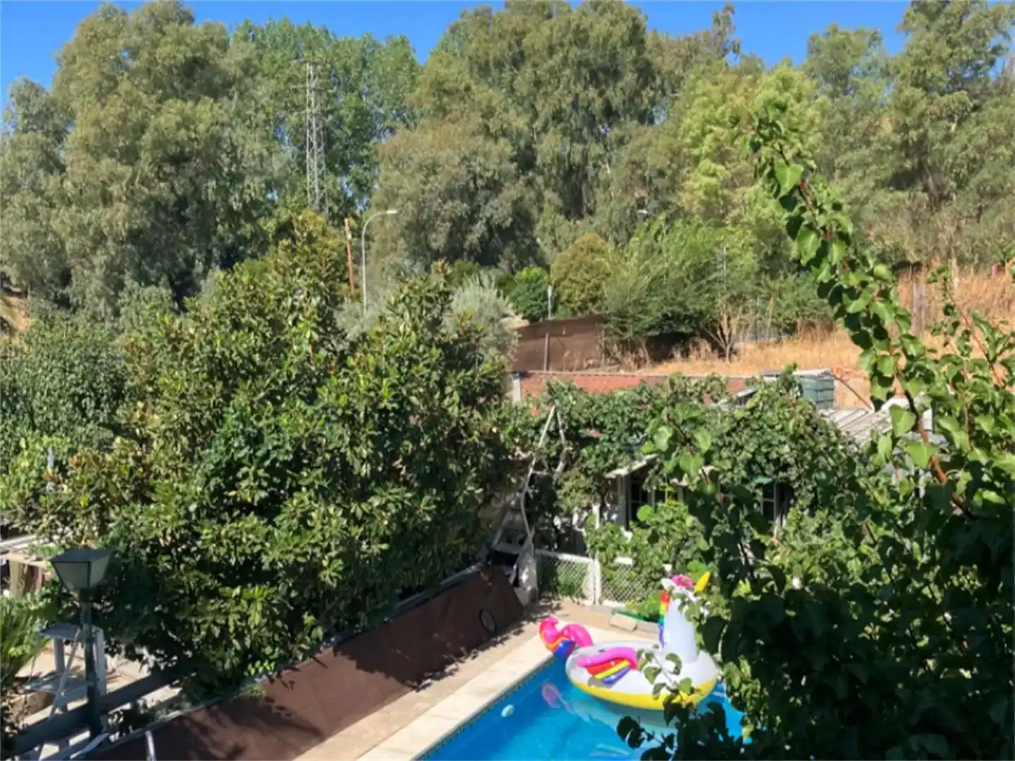 Piscina de Casa o xalet en venda en Constantina amb Aire condicionat, Jardí privat i Traster
