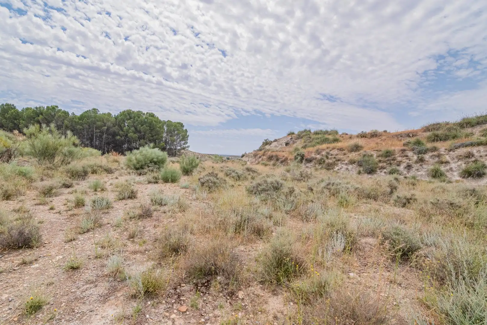 Apartamento en venta en Baza, imagen 54