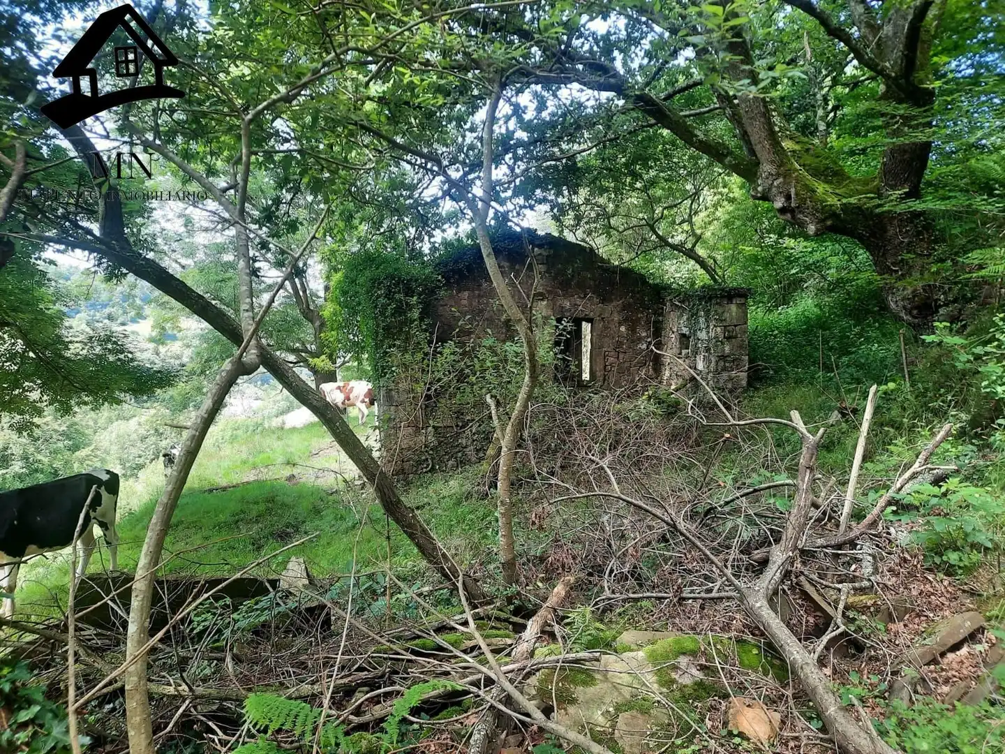 Exterior view of Country homes for sale in Selaya
