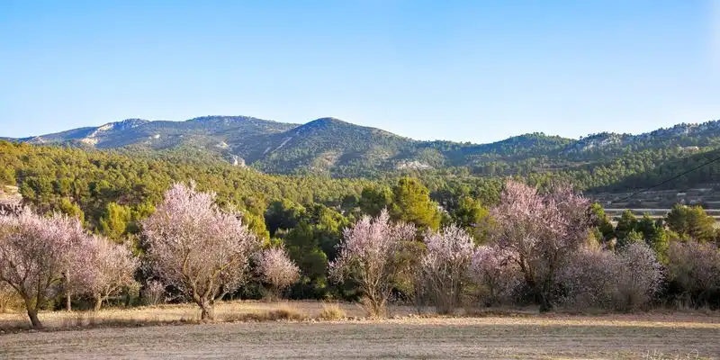 Country homes for sale in Alcoy / Alcoi  with Private garden and Terrace