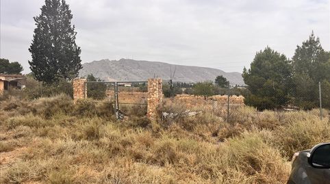 Photo 4 of Land for sale in Las Tiesas (poligono 47 Parcela 190), 50, -1, Las Tiesas, Villena