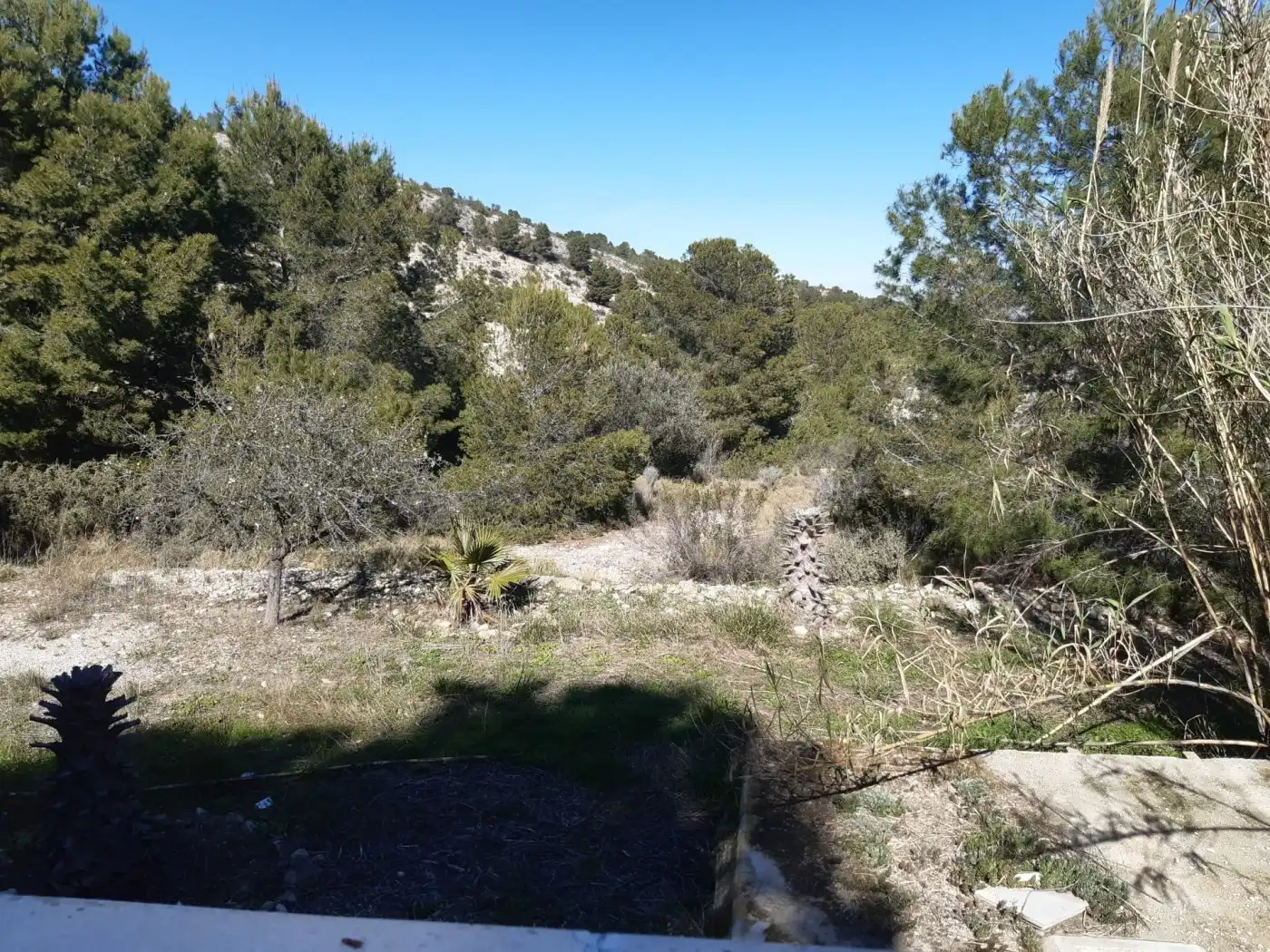 Xalet amb piscina en venda a Monóvar  / Monòver, imagen 47