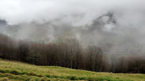 Foto 5 de Finca rústica en venta en N/a, -1, Vega de Pas, Cantabria