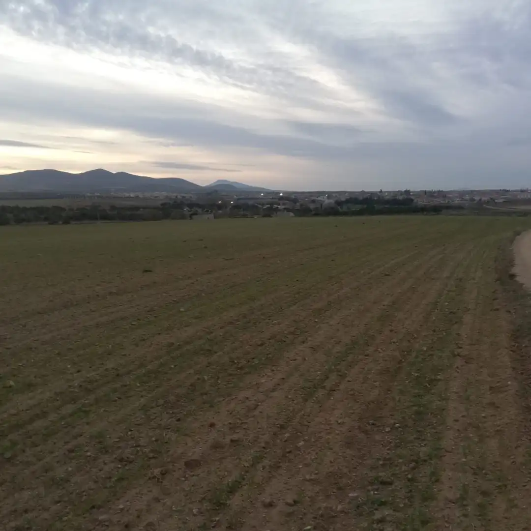 Rural land for sale in Almonacid de Toledo, imagen 6