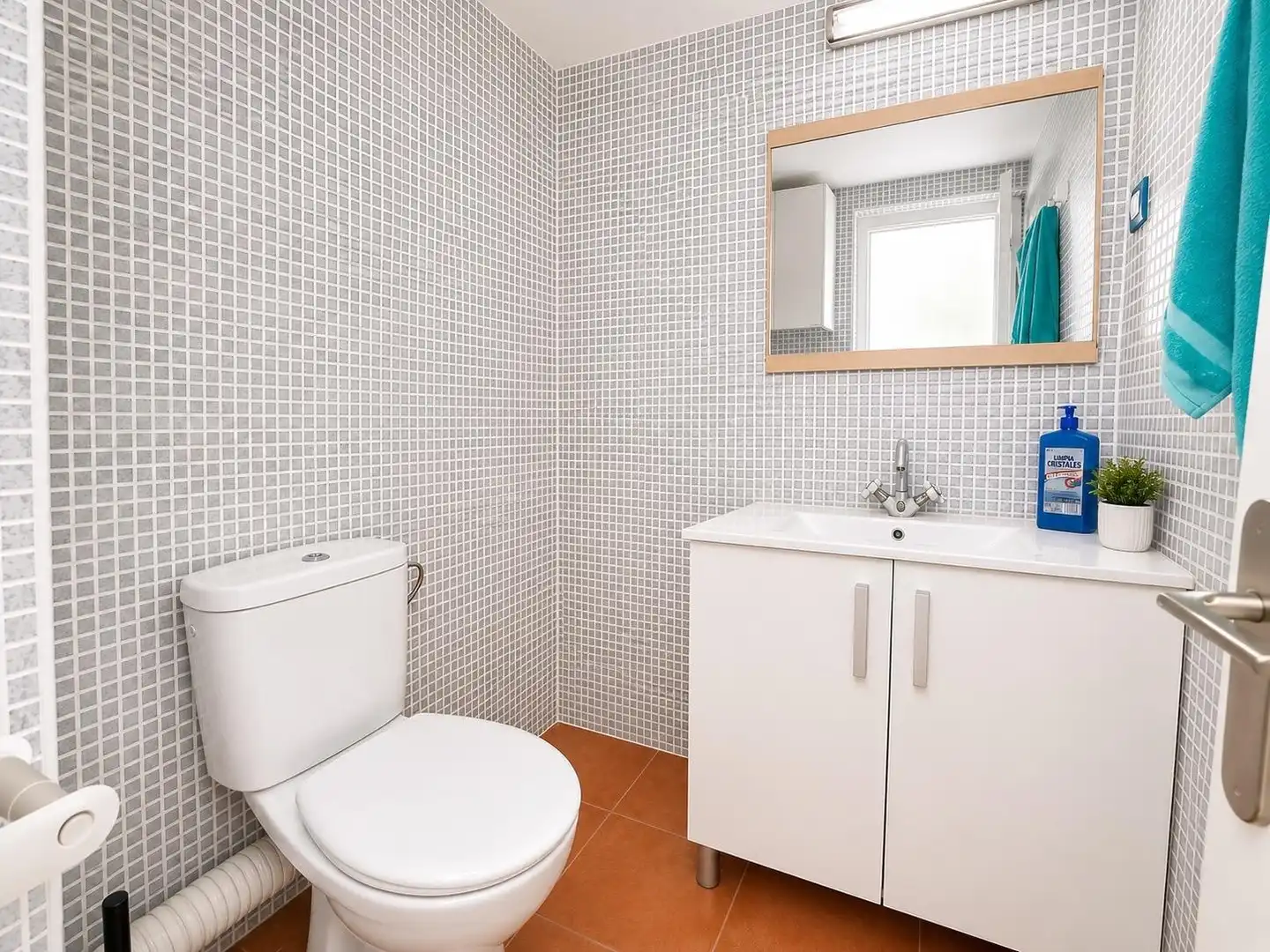 Piso con jardín en venta en Centre - Passeig i Rodalies, imagen 5