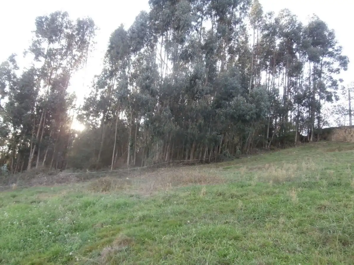 Residential land for sale in Grado, imagen 9