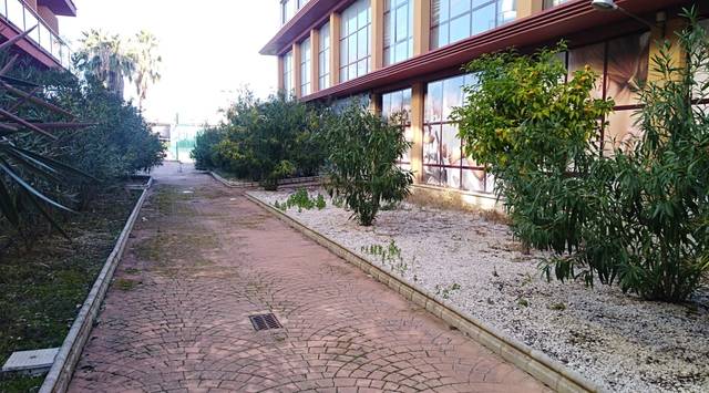 Local comercial en Alquiler en Camino de las Nieves en La Guardia de Jaén