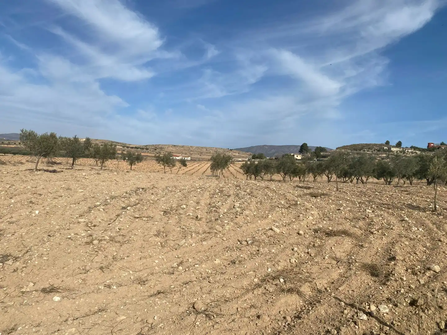 Fabrikhallen zum Verkauf in El Pinós / Pinoso
