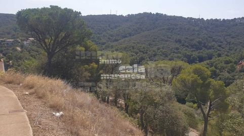 Terreno con vistas a Begur, imatge 5