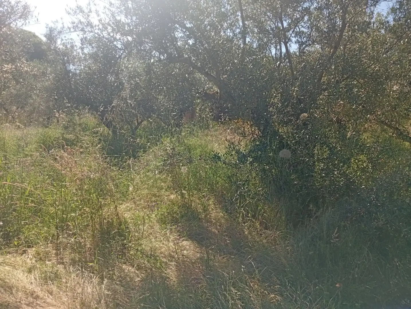 Maison à vendre à Villanueva de la Vera, imagen 37