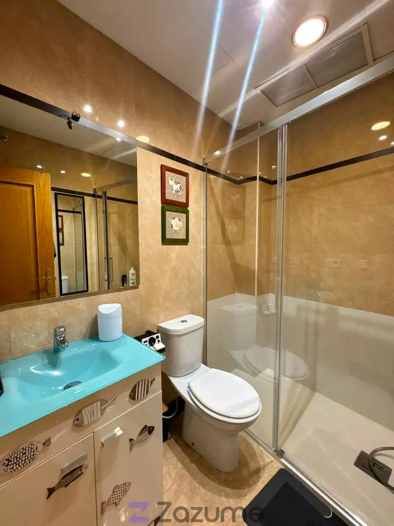 Bany de Apartament de lloguer en Granada amb Aire condicionat, Calefacció i Parquet