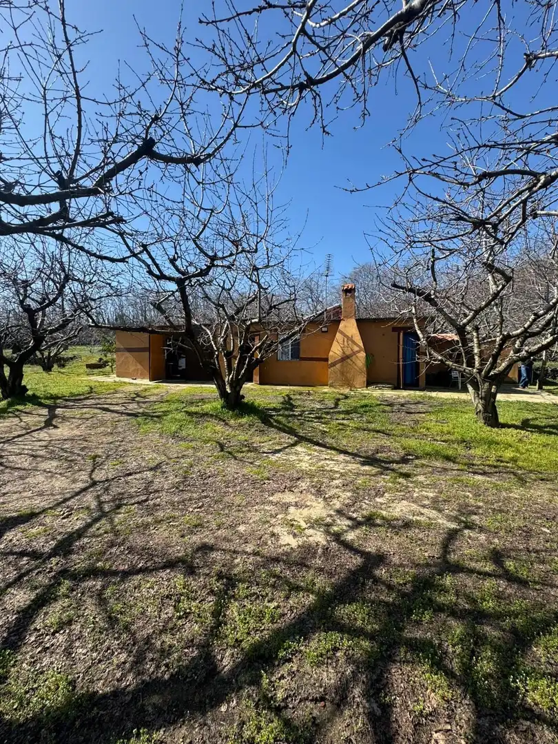 Vista exterior de Finca rústica en venda en Garganta la Olla