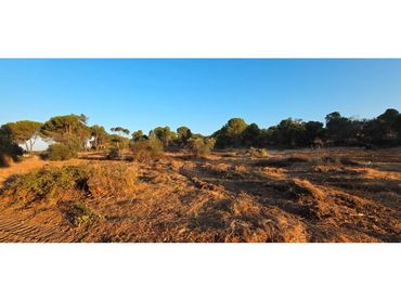 Terreny residencial en venda a Villablanca