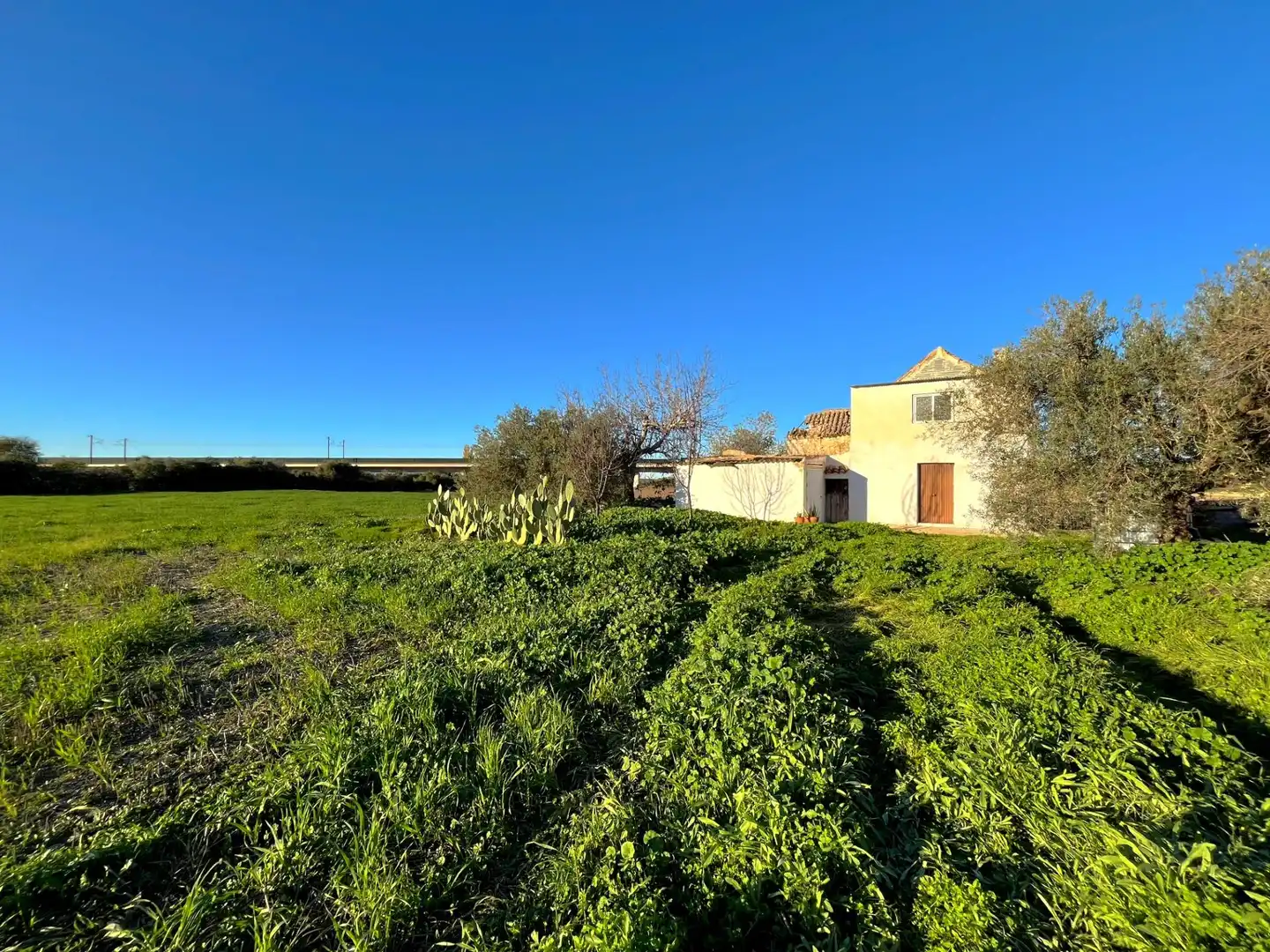 Houses for sale in Antequera
