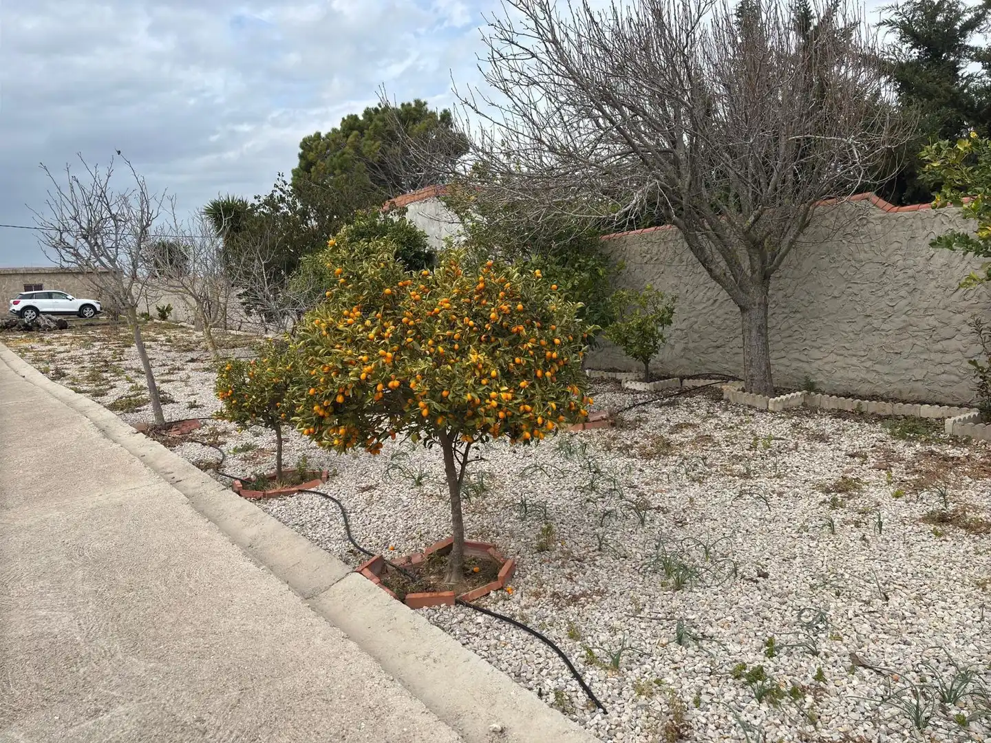 Casa rústica amb jardí en venda a Vejer, imagen 23