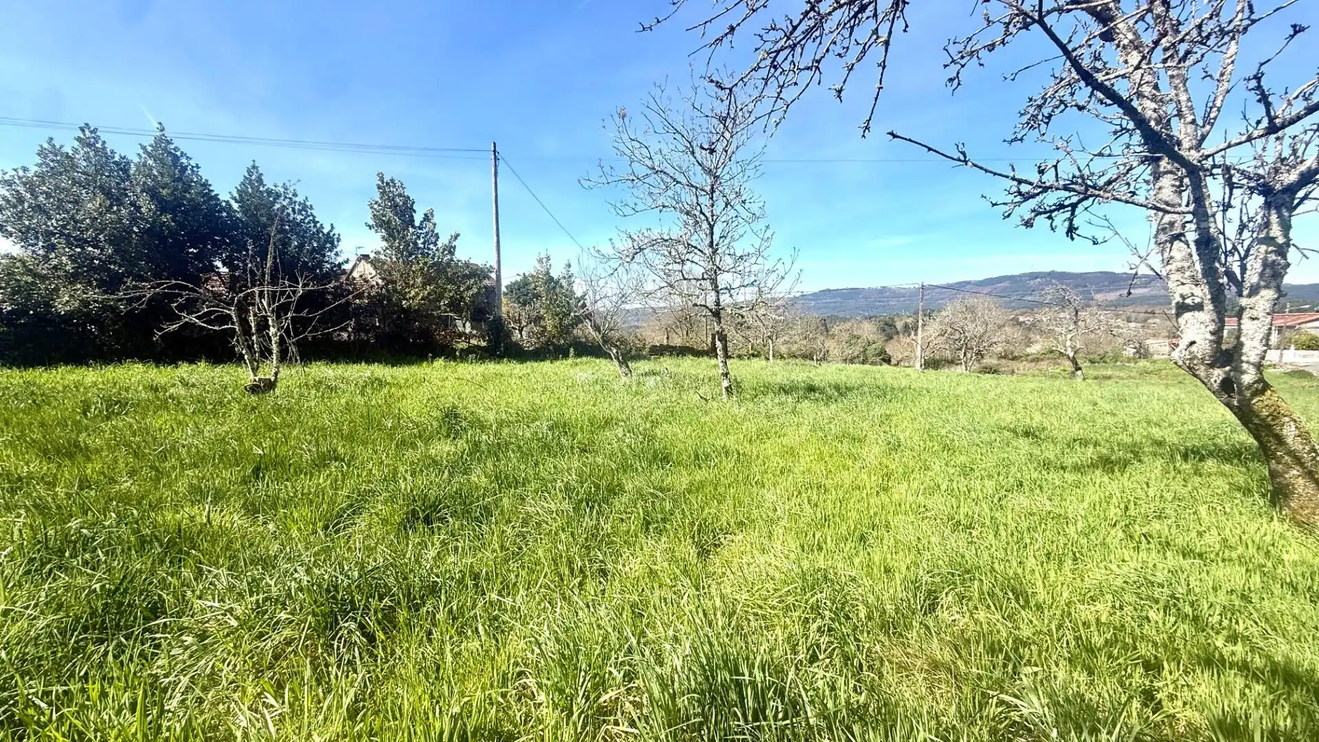 Casa o chalet en venta en Piñor con Jardín privado, Terraza y Amueblado