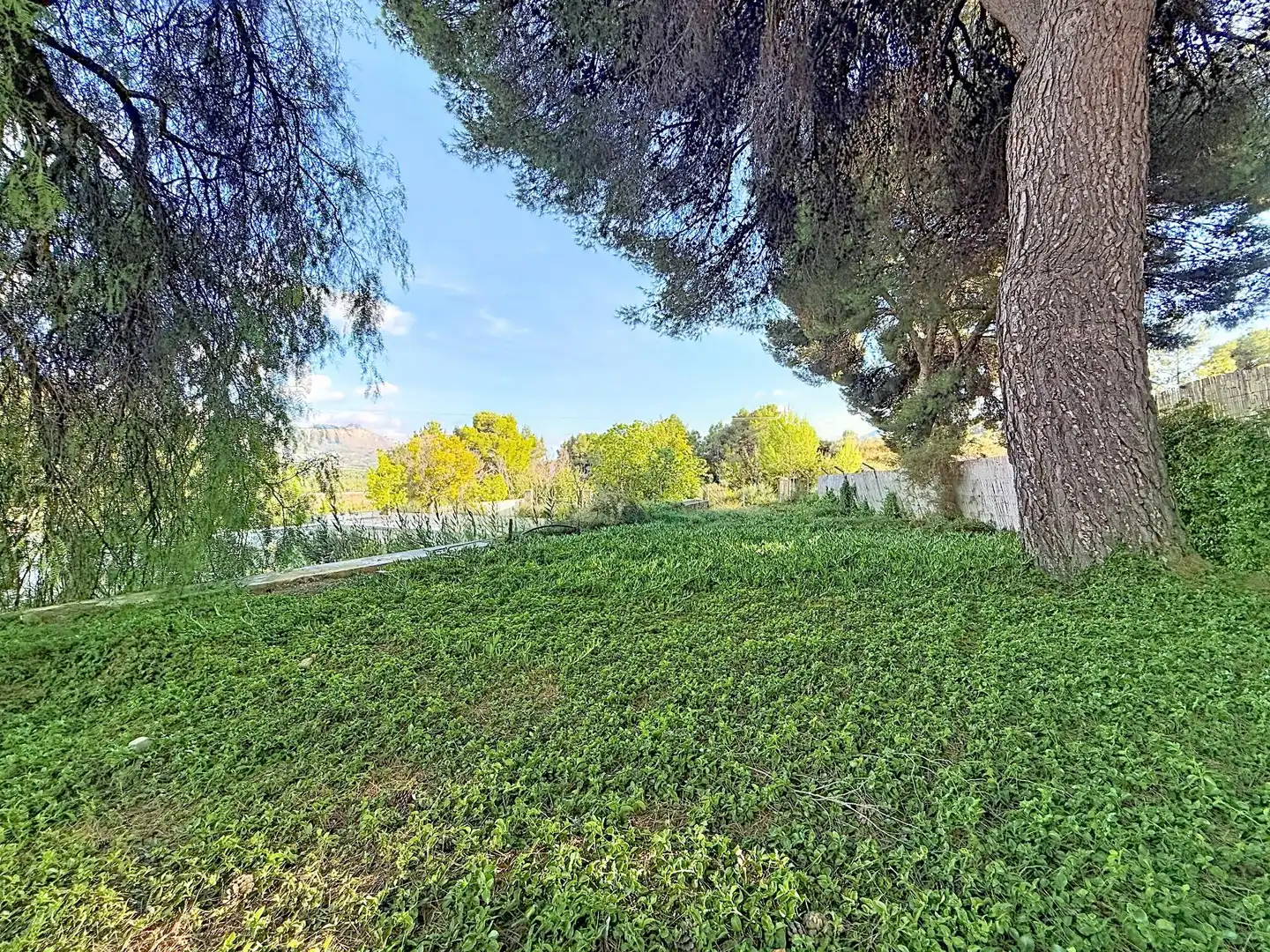 Finca rústica en venta en Castalla, Alicante