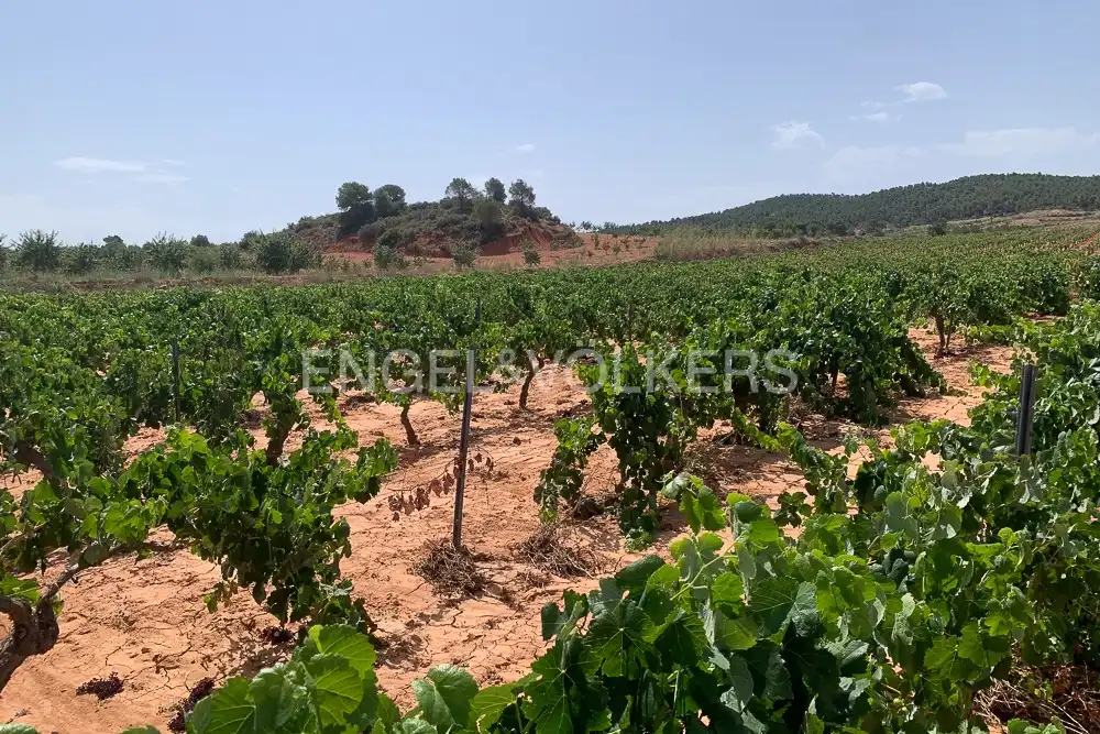 Lands and plots for sale in Requena, imagen 45