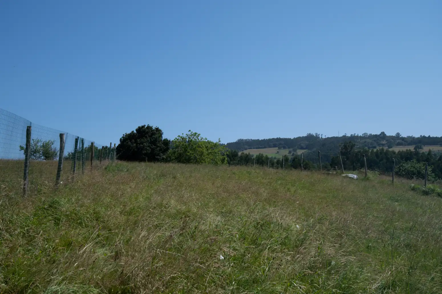 Terreny residencial en venda a Venta de las Ranas - Venta Las Ranas, imagen 36