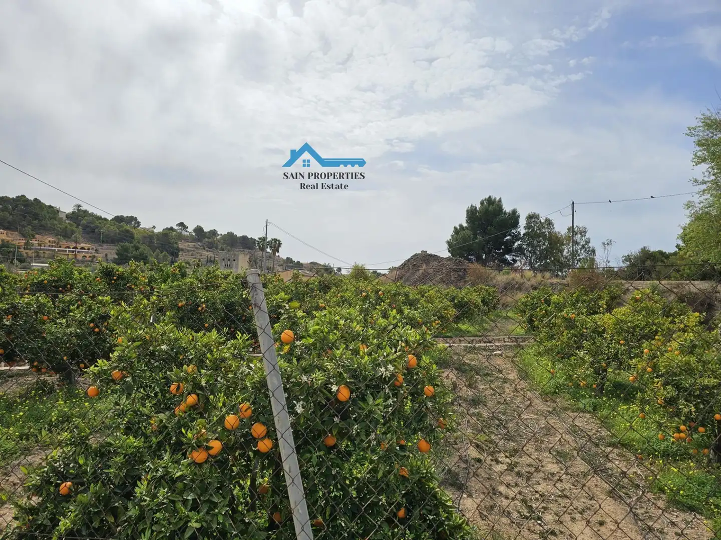Rural land for sale in Altea ciudad, imagen 13