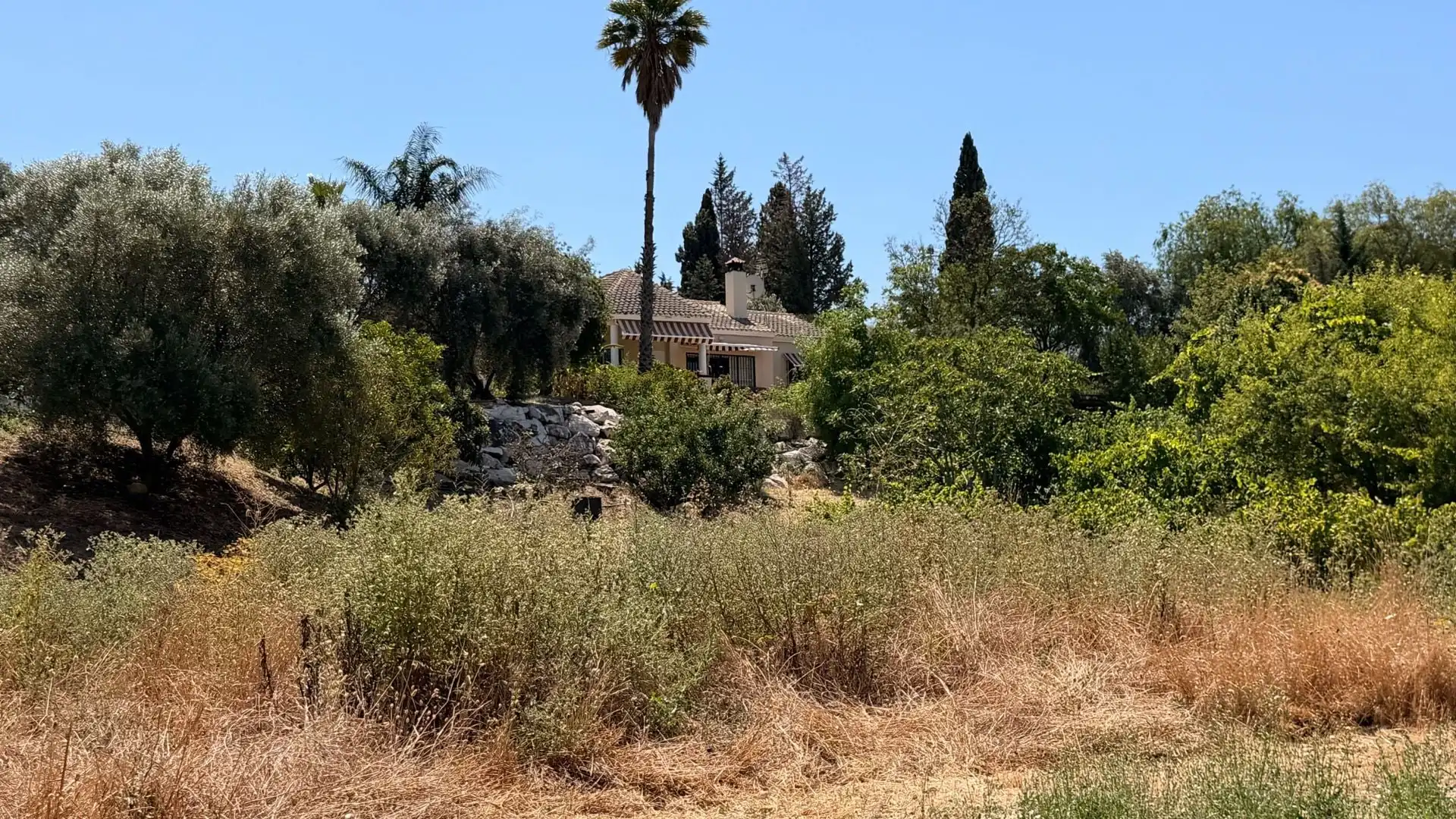 Finca rústica en venta en Centro