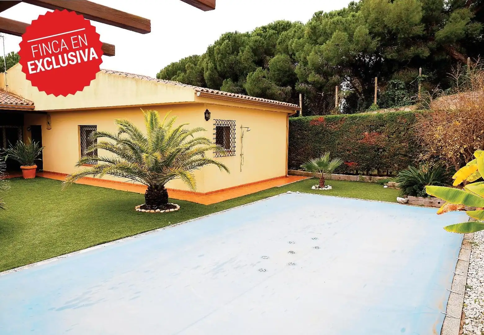 Jardí de Casa o xalet en venda en Canet de Mar amb Jardí privat, Terrassa i Piscina