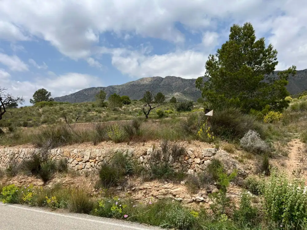 Terreny residencial en venda a Hondón de las Nieves / El Fondó de les Neus, imagen 8