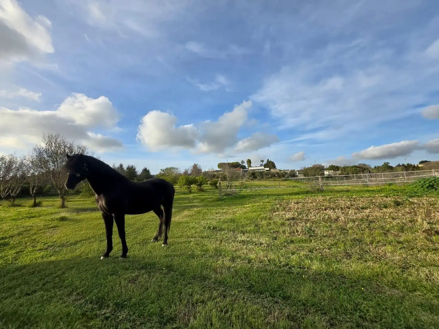 Villa con piscina in vendita a Los Franceses – La Vega, imagen 26