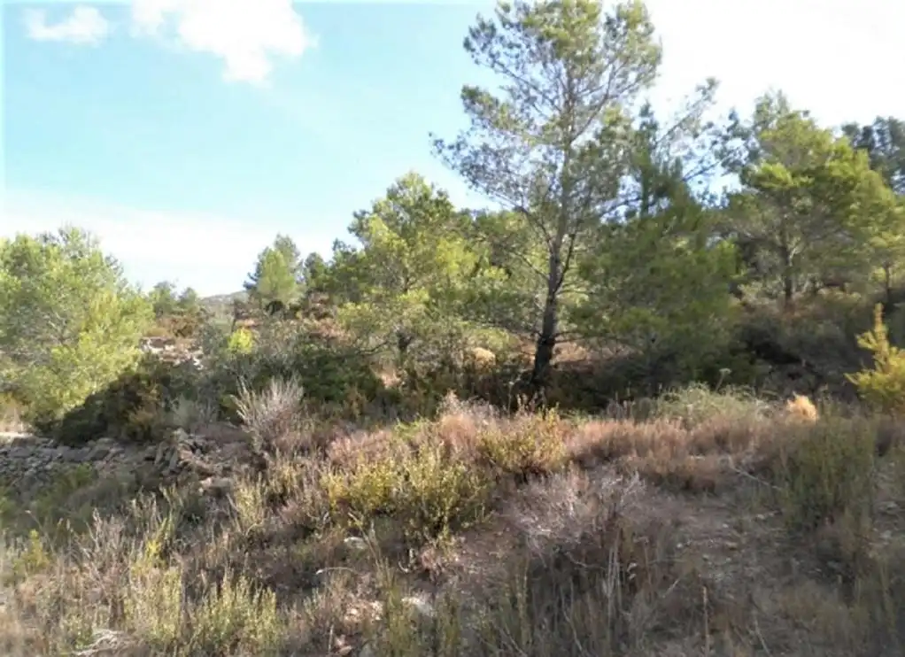 Rustikales Grundstück zum Verkauf in ZONA DISSEMINAT DEL COLL DE LALBA, imagen 3
