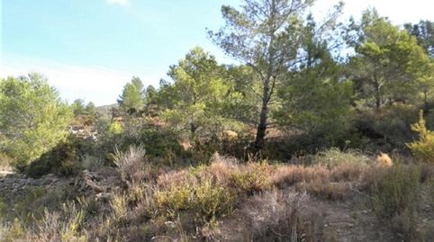 Foto 3 de Terreno en venta en Zona Disseminat del Coll de Lalba, Bítem, Tortosa