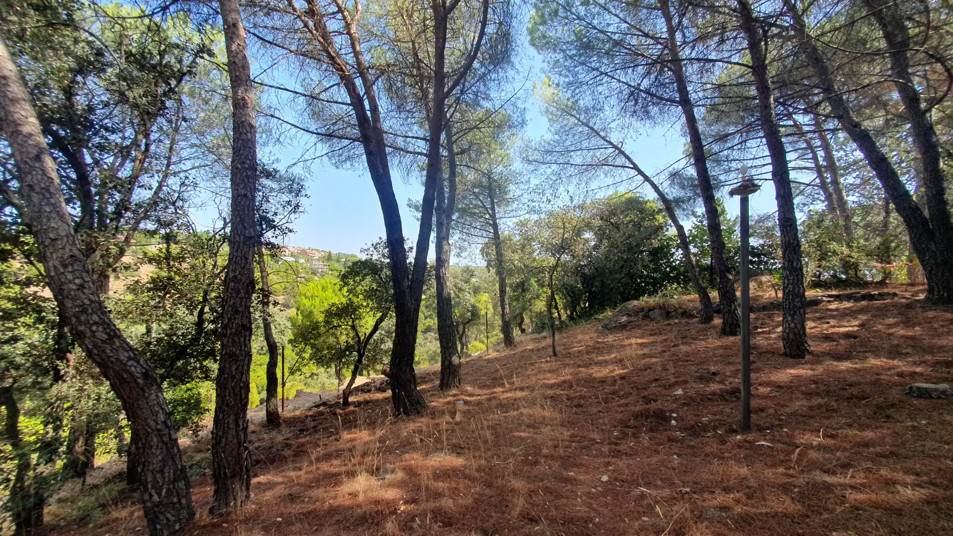 Casa o xalet de lloguer en Valdemorillo amb Calefacció, Jardí privat i Terrassa