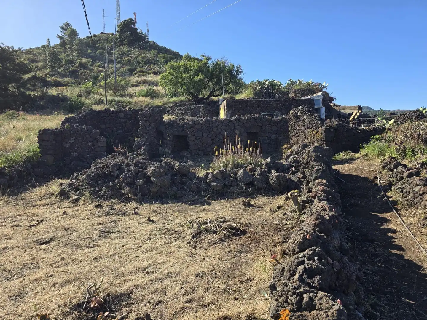 Vista exterior de Finca rústica en venta en El Pinar de El Hierro