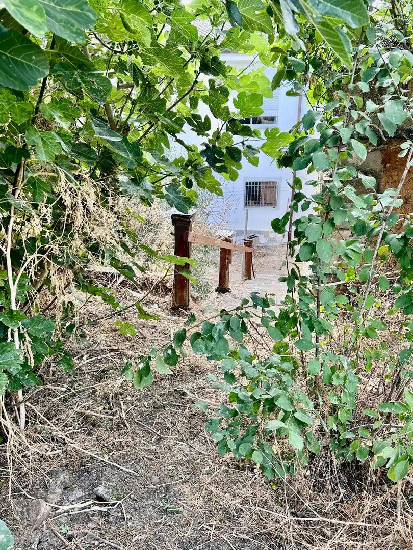 Country homes for sale in Cebrones del Río