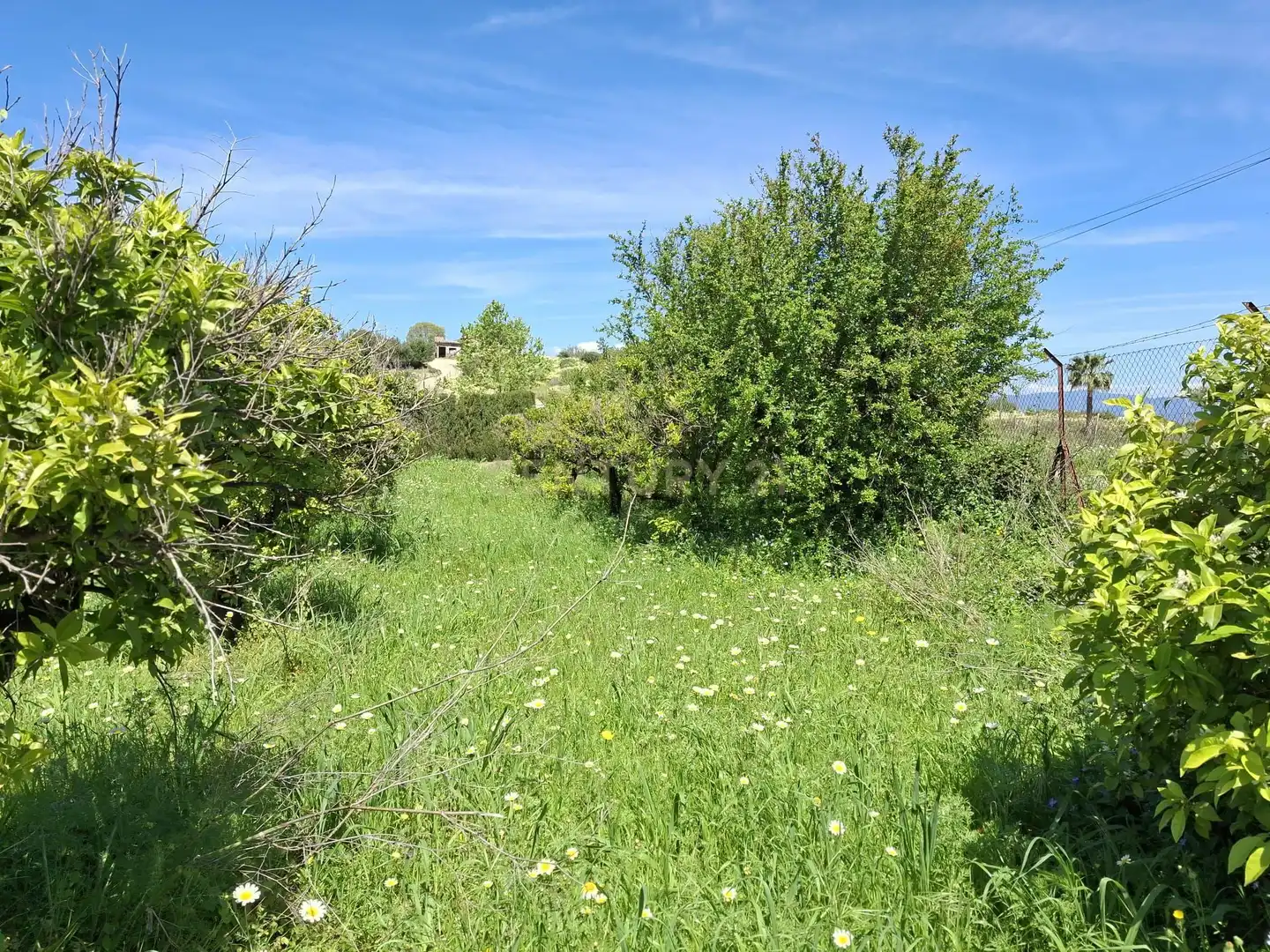 Terreni e lotti in vendita a Calle Tubelorda, Alhaurín de la Torre, Spain, imagen 7