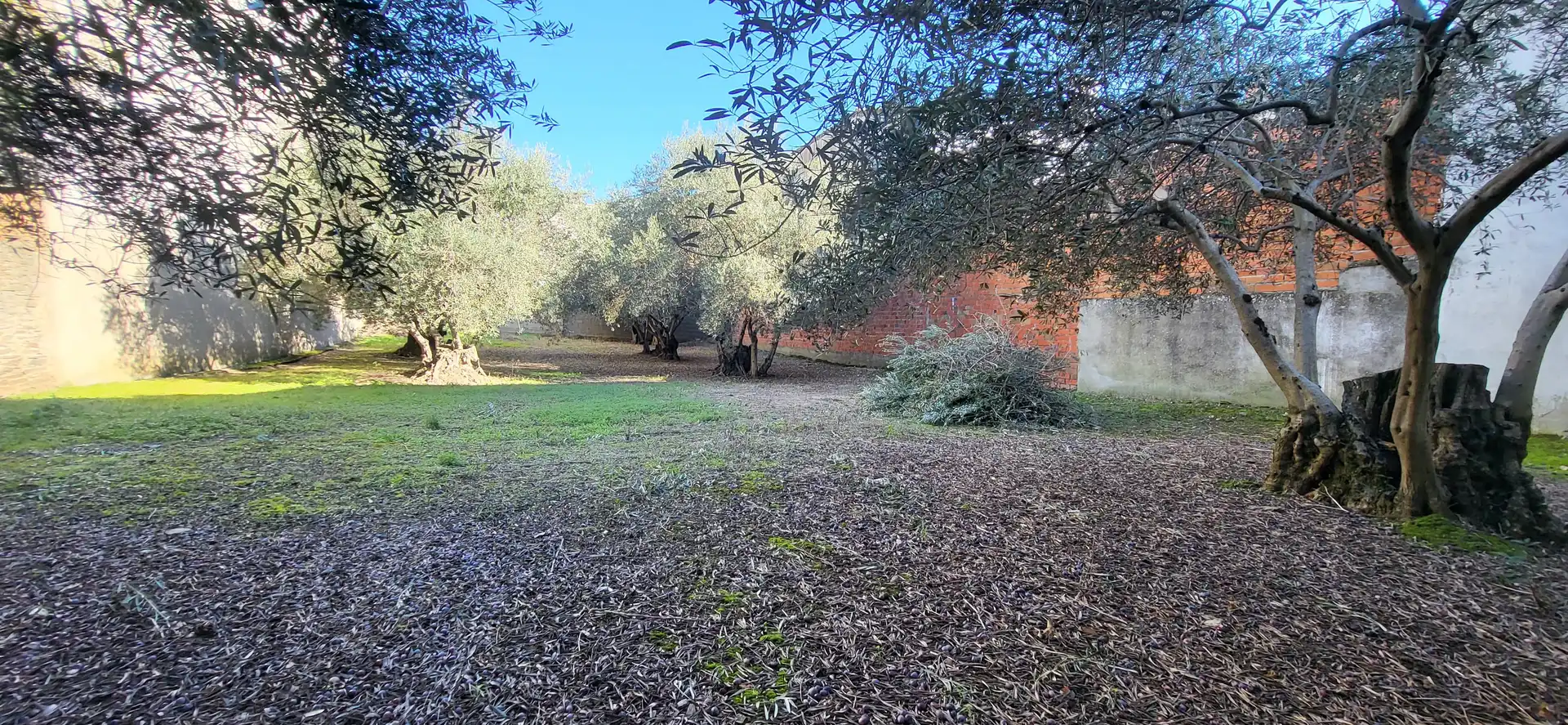 Terreni e lotti in vendita a Plaza San Gregorio
