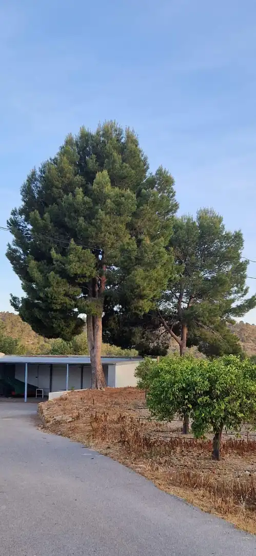 Vista exterior de Finca rústica en venta en Aigües con Jardín privado